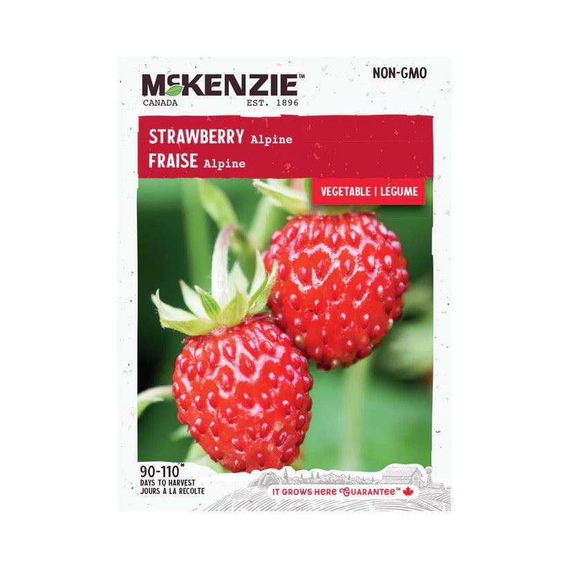 McKenzie Seeds Strawberry Alpine | GROWMART CANADA